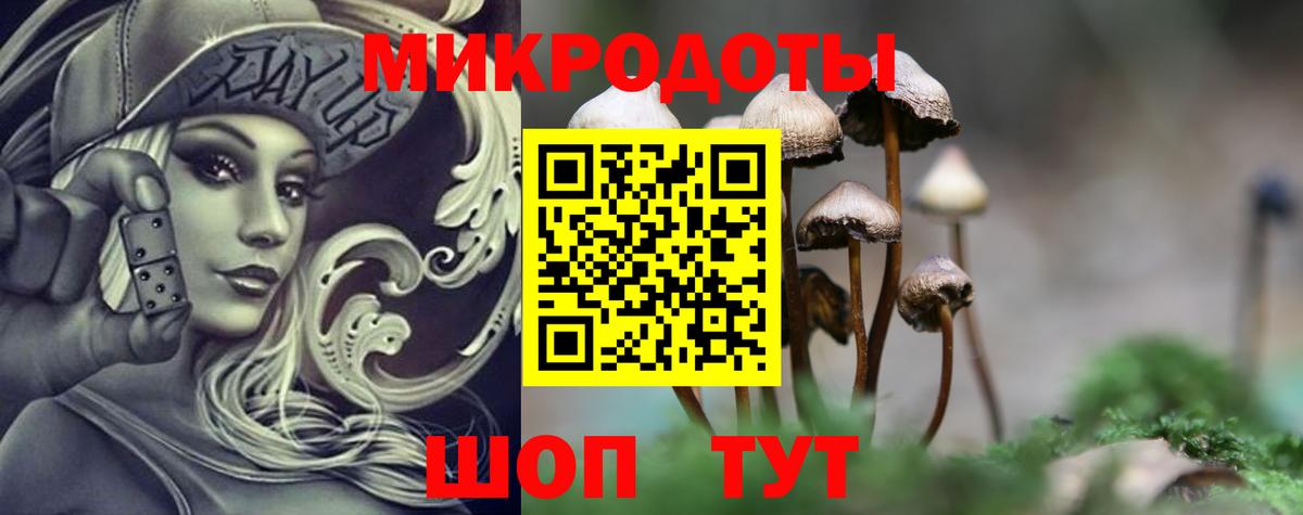 наркошоп  Псилоцибиновые грибы Psilocybe  Вход с VPN  Барабинск 